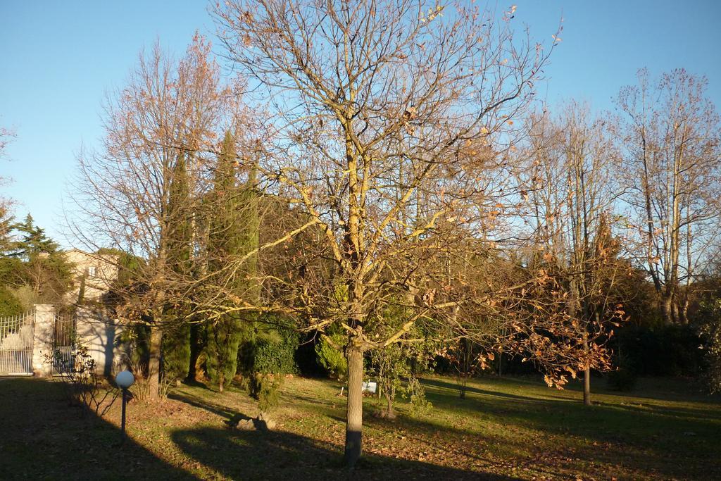 B&B Alle Terme Viterbo Buitenkant foto